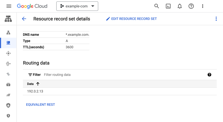 Screenshot showing wildcard record in Google Cloud DNS console